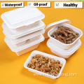 100% Compostable Sugarcane pulp Lunch Box